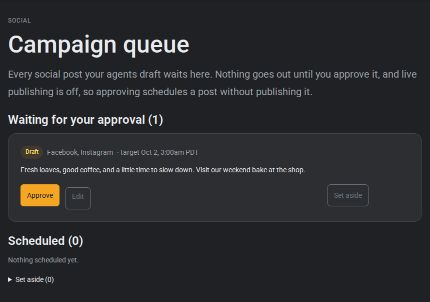 Campaign queue in the isolated demonstration showing the sample post awaiting owner approval.